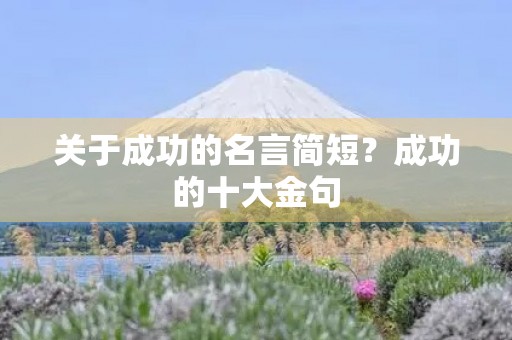 关于成功的名言简短？成功的十大金句