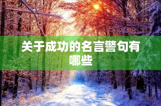 关于成功的名言警句有哪些(关于成功的名言警句有哪些三年级)