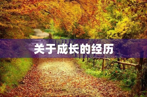 关于成长的经历