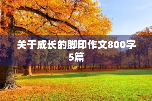 关于成长的脚印作文800字5篇 关于成长的脚印作文800字5篇