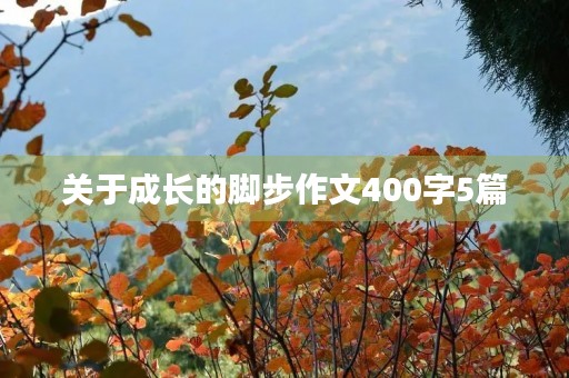 关于成长的脚步作文400字5篇