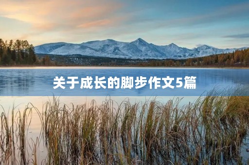 关于成长的脚步作文5篇