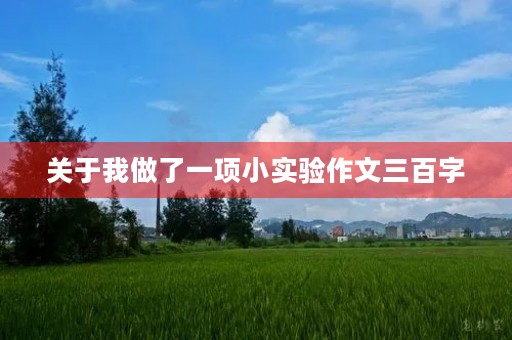 关于我做了一项小实验作文三百字