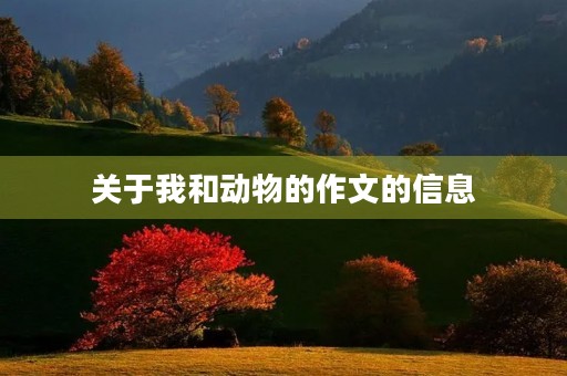 关于我和动物的作文的信息 关于我和动物的作文的信息