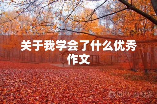 关于我学会了什么优秀作文 关于我学会了什么优秀作文