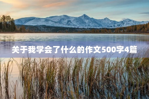 关于我学会了什么的作文500字4篇