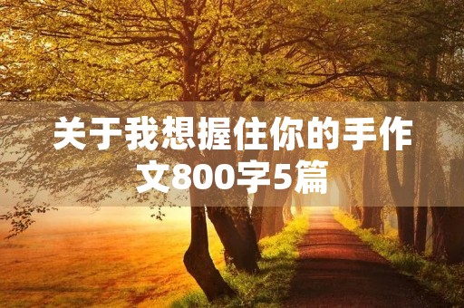 关于我想握住你的手作文800字5篇 关于我想握住你的手作文800字5篇