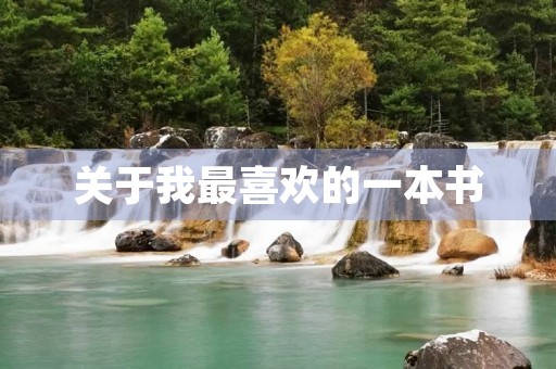 关于我最喜欢的一本书 关于我最喜欢的一本书