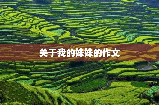关于我的妹妹的作文 关于我的妹妹的作文