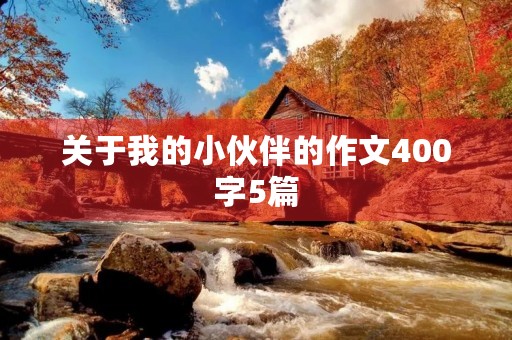 关于我的小伙伴的作文400字5篇