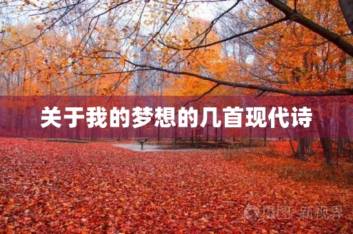 关于我的梦想的几首现代诗 关于我的梦想的几首现代诗