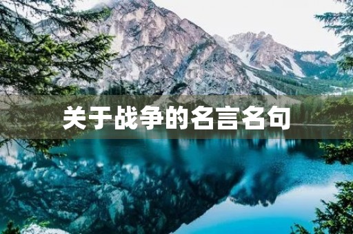关于战争的名言名句(关于战争的名言名句摘抄)