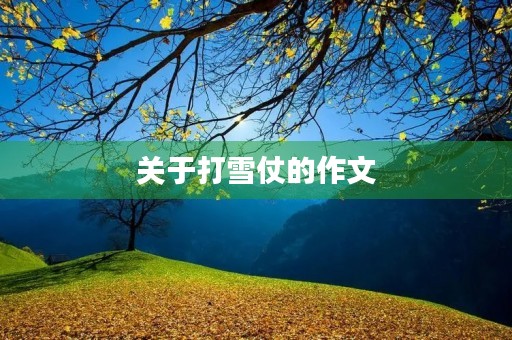 关于打雪仗的作文