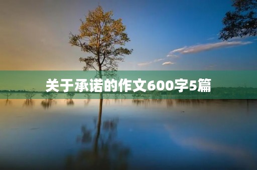 关于承诺的作文600字5篇 关于承诺的作文600字5篇