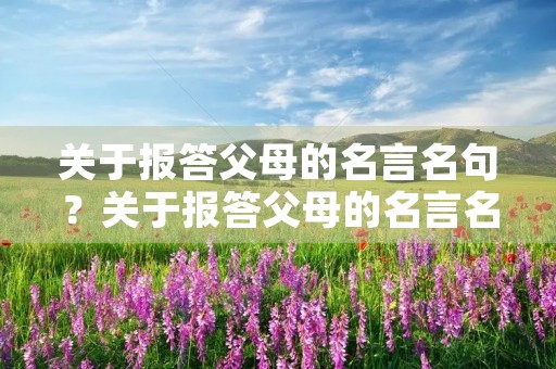 关于报答父母的名言名句？关于报答父母的名言名句大全