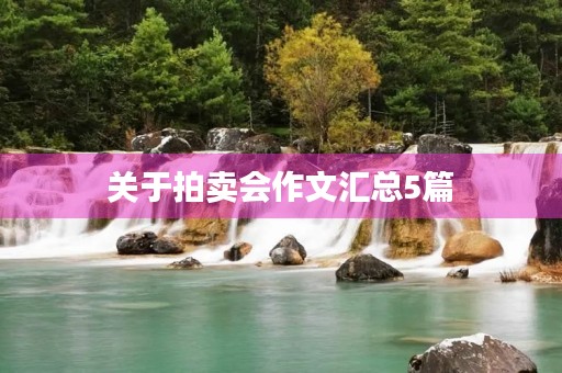 关于拍卖会作文汇总5篇 关于拍卖会作文汇总5篇