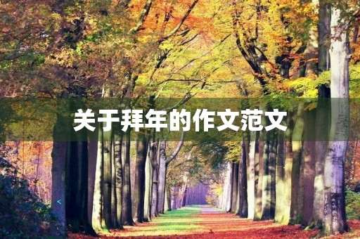 关于拜年的作文范文
