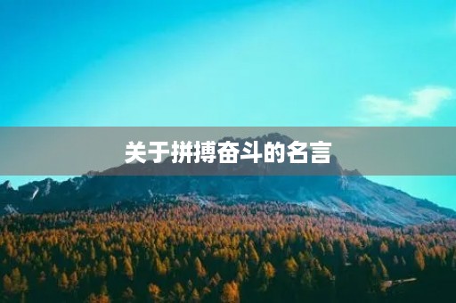 关于拼搏奋斗的名言(关于拼搏奋斗的名言名句)