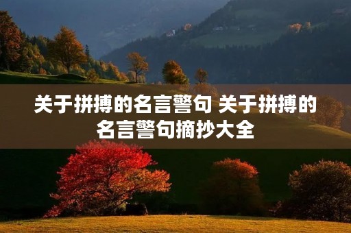 关于拼搏的名言警句 关于拼搏的名言警句摘抄大全