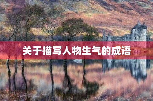 关于描写人物生气的成语