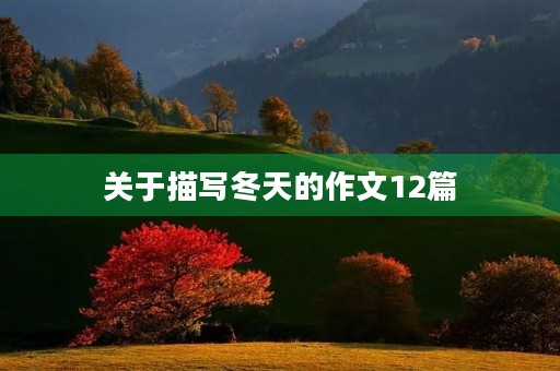 关于描写冬天的作文12篇