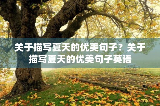 关于描写夏天的优美句子?关于描写夏天的优美句子英语 关于描写夏天的优美句子?关于描写夏天的优美句子英语