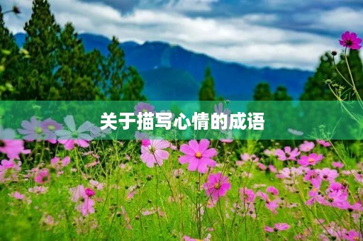 关于描写心情的成语