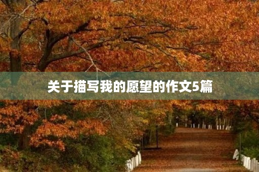 关于描写我的愿望的作文5篇