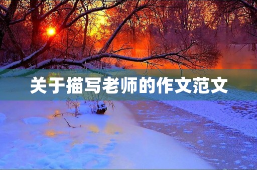 关于描写老师的作文范文