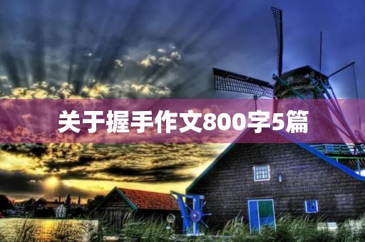 关于握手作文800字5篇