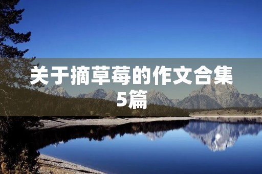 关于摘草莓的作文合集5篇