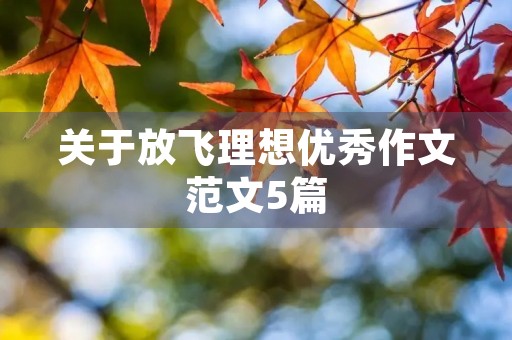 关于放飞理想优秀作文范文5篇