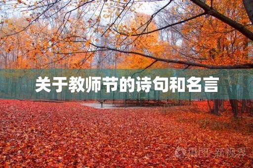 关于教师节的诗句和名言(关于教师节的名言名句大全)