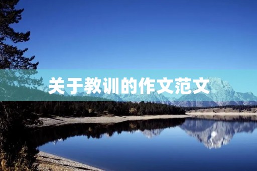 关于教训的作文范文