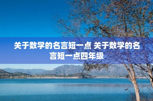 关于数学的名言短一点 关于数学的名言短一点四年级
