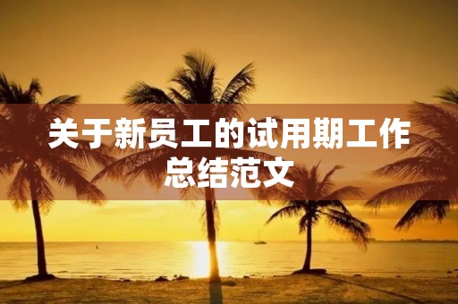 关于新员工的试用期工作总结范文