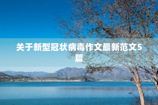 关于新型冠状病毒作文最新范文5篇 关于新型冠状病毒作文最新范文5篇