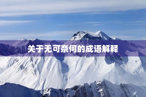 关于无可奈何的成语解释 关于无可奈何的成语解释
