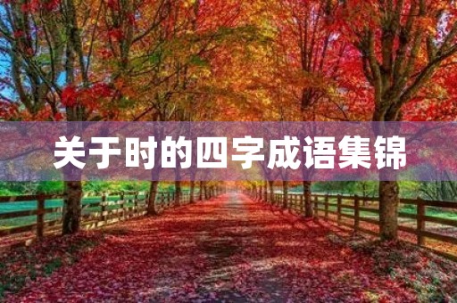 关于时的四字成语集锦