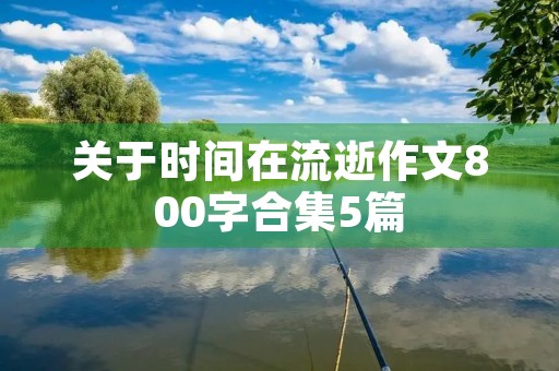 关于时间在流逝作文800字合集5篇 关于时间在流逝作文800字合集5篇