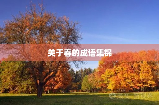 关于春的成语集锦