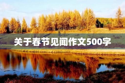 关于春节见闻作文500字