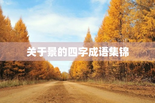 关于景的四字成语集锦