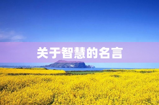 关于智慧的名言(关于智慧的名言名句) 关于智慧的名言(关于智慧的名言名句)
