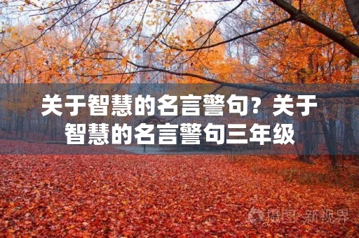 关于智慧的名言警句?关于智慧的名言警句三年级 关于智慧的名言警句?关于智慧的名言警句三年级