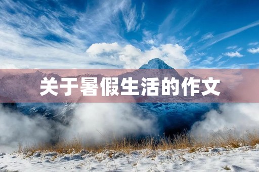 关于暑假生活的作文