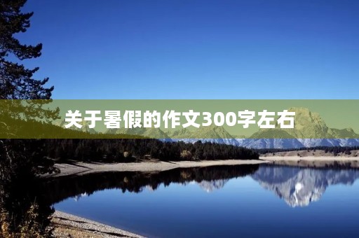 关于暑假的作文300字左右