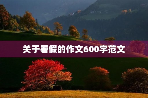 关于暑假的作文600字范文 关于暑假的作文600字范文