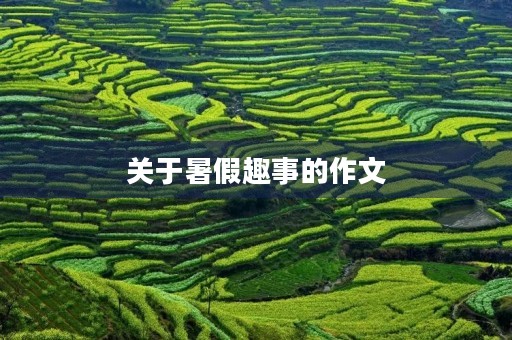 关于暑假趣事的作文 关于暑假趣事的作文