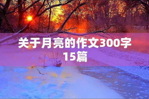 关于月亮的作文300字15篇